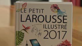 Le petit Larousse 2017 s'enrichit d'environ 150 nouveaux mots.