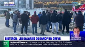 Alpes-de-Haute-Provence: les salariés de Sanofi en grève à Sisteron