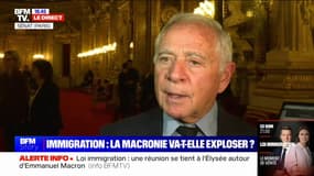 Projet de loi immigration: "La grande majorité" du groupe RDPI au Sénat "votera le texte", affirme son président François Patriat