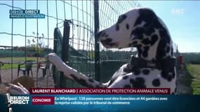 Ligoté, sans eau ni nourriture, un chien est sauvé grâce à une chaîne de solidarité