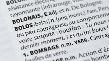 Une page de l'édition 2016 du Petit Larousse (image d'illustration)