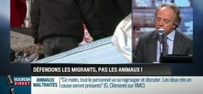 Le parti pris d'Hervé Gattegno: "Ayons plus de pitié pour les migrants et moins pour le bétail" - 30/03