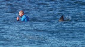 Le 19 juillet 2015, le champion Mick Fanning avait été brièvement attaqué par un requin lors de la finale de la coupe du monde en Afrique du Sud. (Illlustration)
