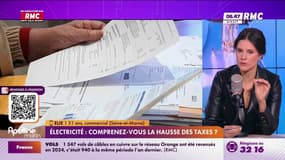 Hausse des taxes sur l'électricité : "Les fournisseurs sont toujours gagnants", se désespère Élie