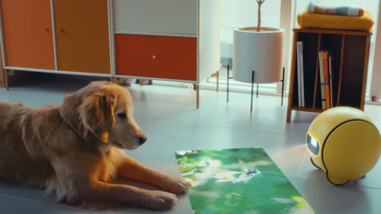 Le robot Ballie de Samsung pourra surveiller votre animal de compagnie.