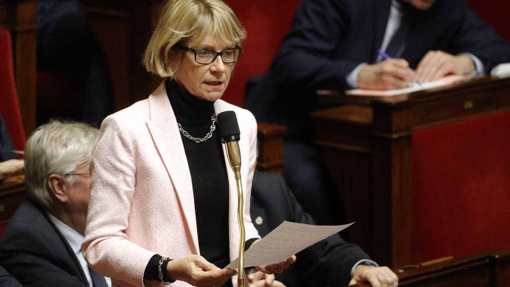 Véronique Louwagie le 28 janvier 2020 à l'Assemblée nationale 