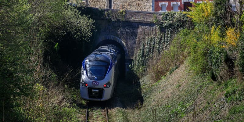 Un train sur la ligne TER menant à Fécamp, en Normandie (photo d'illustration). 