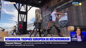 Schirrhein: trophée européen du bûcheronnage