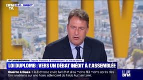 Loi Duplomb: "C'est très bien cette pétition (...) Ça va nous obliger à débattre du fond", estime Sylvain Berrios, député "Horizons" du Val-de-Marne