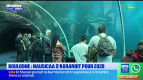 Boulogne: Nausicaa s'agrandit pour 2028