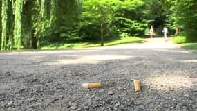 Strasbourg va interdire le tabac dans les parcs