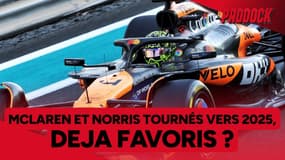 McLaren et Norris, encore plus irrésistibles en 2025 ?