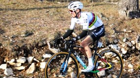 Julian Alaphilippe