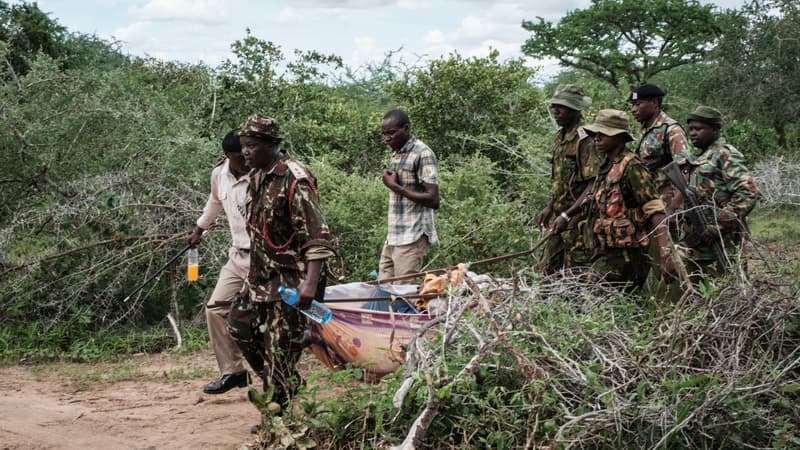 Les corps ne cessent d'être découverts dans la forêt de Shakahola, au Kenya 