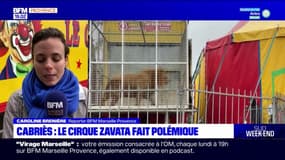 Cabriès: le cirque Zavata fait polémique