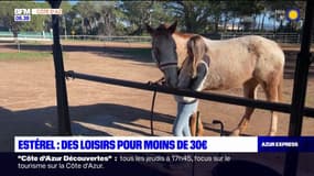 Balade à cheval, grande roue: des loisirs dans l'Estérel pour moins de 30 euros