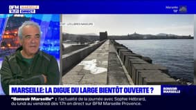 Les Libres Nageurs reprennent le combat pour rendre la digue du large aux Marseillais