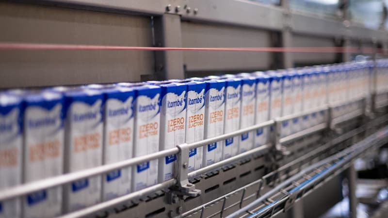 Le leader mondial du lait Lactalis mise sur le Brésil et son énorme marché