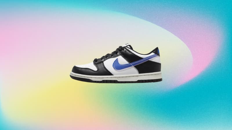 Cette paire de Nike Dunk Low profite d'un prix réduit, erreur de prix ou offre indécente ?