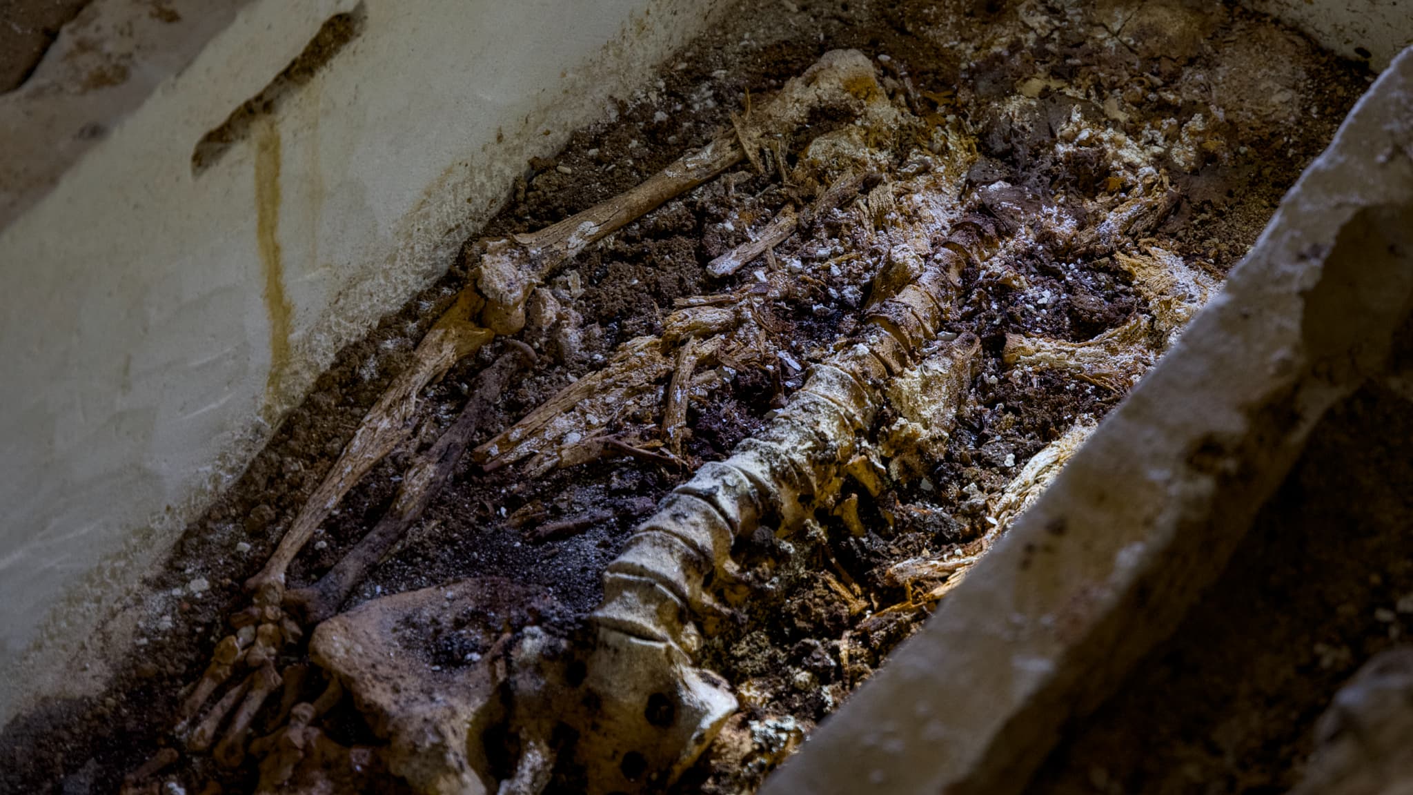 Cette photographie prise à l'intérieur de l'église Saint-Martin-au-Val, à Chartres, le 19 juin 2024, montre un sarcophage datant du VIe siècle après J.-C., de l'époque mérovingienne, contenant un squelette de 1m85 et des matières organiques. 