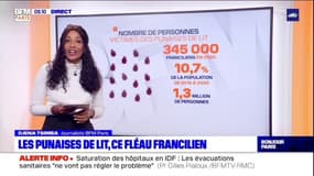 Paris Scan : Un francilien sur dix victime des punaises de lit 