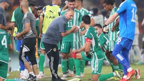 Djamel Belmadi lors du match Algérie-Mauritanie (0-1, CAN), le 23 janvier 2024