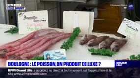 Pas-de-Calais: le poisson, un produit de luxe?