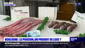 Pas-de-Calais: le poisson, un produit de luxe?