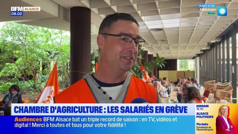 Chambres d'agriculture: les salariés de Schiltigheim en grève