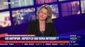 Barbara Pompili: "je veux rassurer ceux qui font de la publicité, elle a encore de beaux jours devant elle"