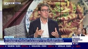 La  pépite : Horizom crée des exploitations de bambou en association avec les agriculteurs pour décarboner l'économie, par Lorraine Goumot -03/05