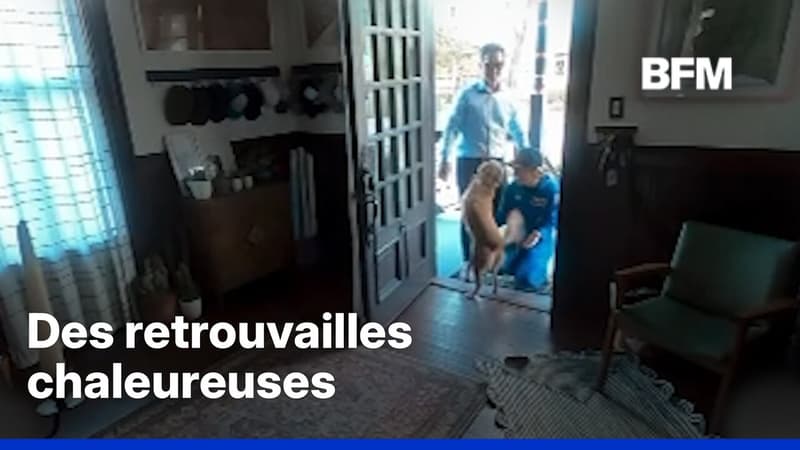 L'astronaute Christina Koch retrouve son chien après la mission Artemis II