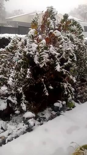 Puy-de-Dôme : neige à Royat - Témoins BFMTV