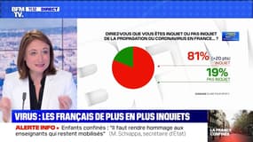 Virus : les Français de plus en plus inquiets (2) - 18/03