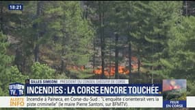 Corse: "Dans les 24 dernières heures, il y a eu une dizaine de départs de feu non accidentels", Gilles Simeoni
