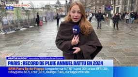 Paris: le record de pluie annuel a été battu en 2024