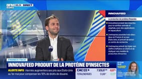 French Tech: InnovaFeed produit des protéines d'insectes - 04/17
