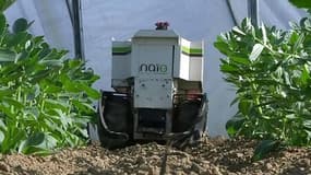 Un robot pour désherber les terres des agriculteurs