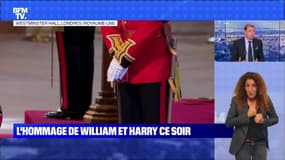 Hommage de William et Harry : un moment important - 17/09 