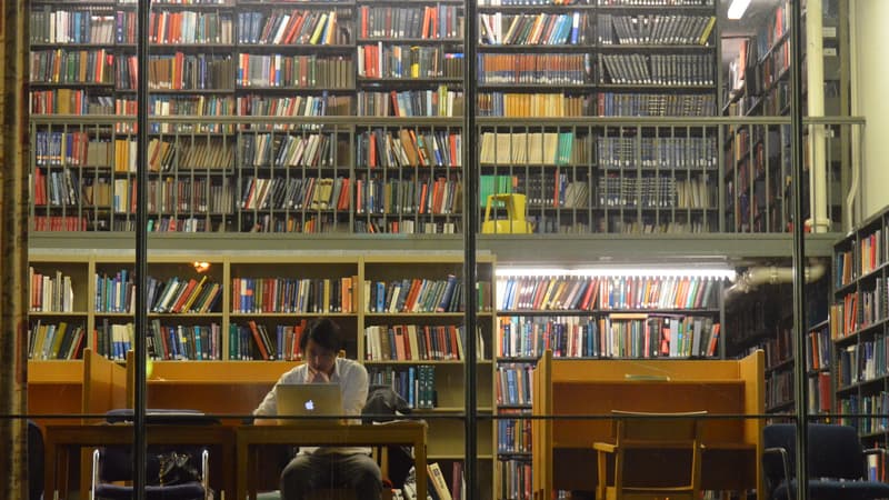 Un étudiant en train de travailler dans une bibliothèque universitaire (Photo d'illustration).