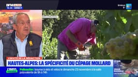 Le Focus Politique : Jean Tripodi, candidat à Barrême