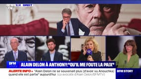 Story 4 : Affaire Delon, un énorme héritage en jeu ? - 04/01