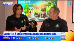 Bonjour Littoral du mercredi 3 décembre 2025