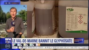 Le Val-de-Marne, premier département à bannir "symboliquement" le glyphosate