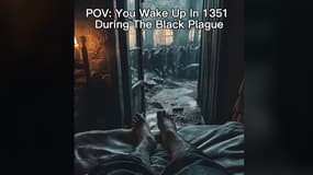 Image d'une vidéo sur la peste noire