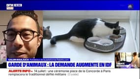 Les demandes de gardes d'animaux explosent depuis le déconfinement