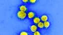 Image d'une particule du SARS-CoV-2, obtenue le 11 août 2020 auprès du National Institute of Allergy and Infectious Diseases(NIH/NIAID).