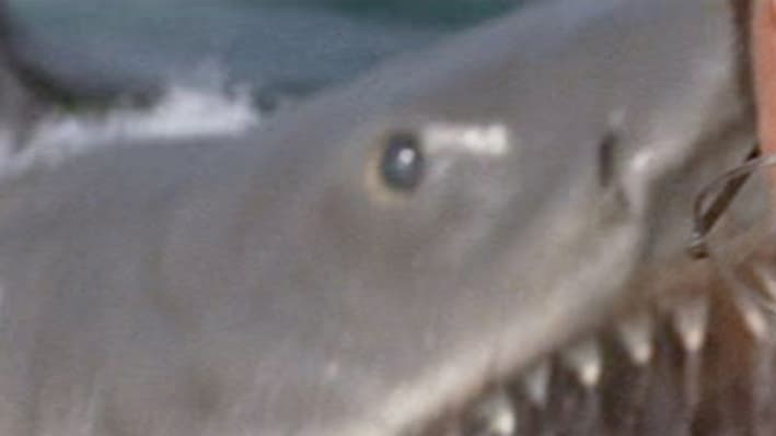 Les Dents de la Mer (1975) Les Dents de la Mer (1975)