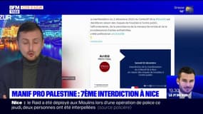 Manifestation pro-Palestine à Nice: le préfet interdit le rassemblement de ce samedi, pour la 7e fois 