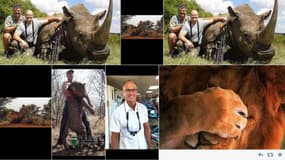 Le dentiste-chasseur pose régulièrement aux côtés des animaux qu'il a abattus